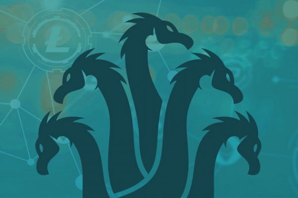 Kraken18 at