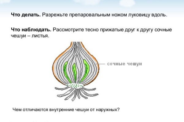 Кракен орг
