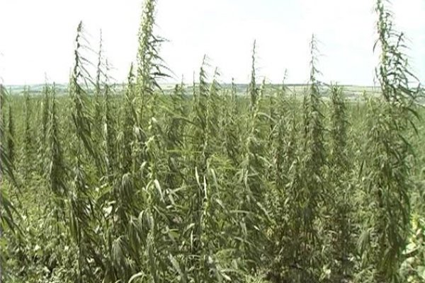 Кракен перейти