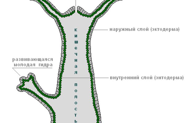 Krn 2at