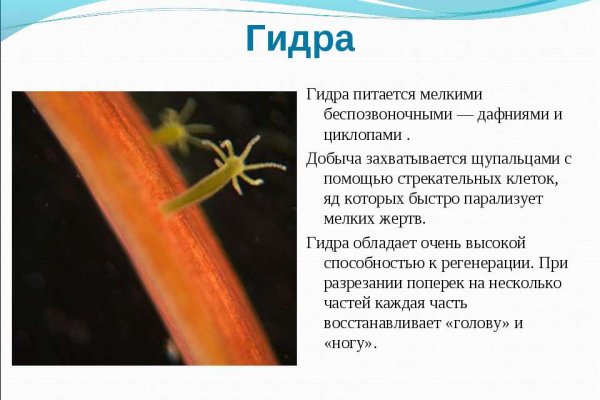 Кракен это даркнет маркетплейс