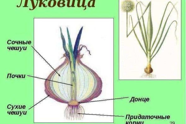 Ссылка на кракен onion kraken dark link