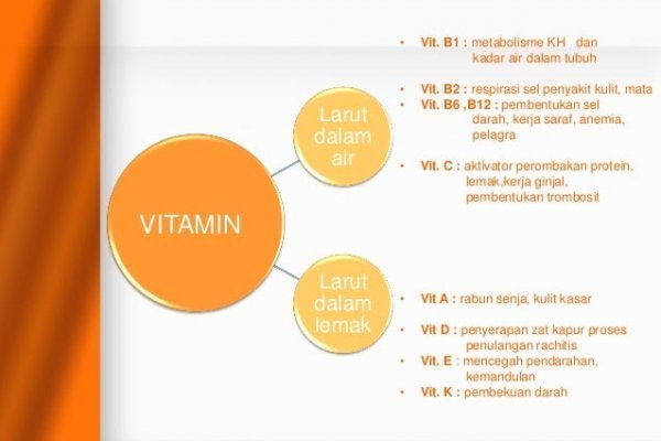 Kra41.at
