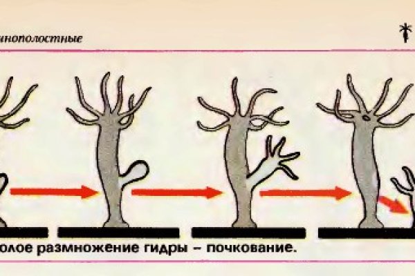 Кракен магазин зеркало
