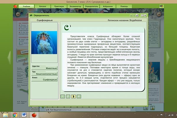 Как купить наркотик в кракен