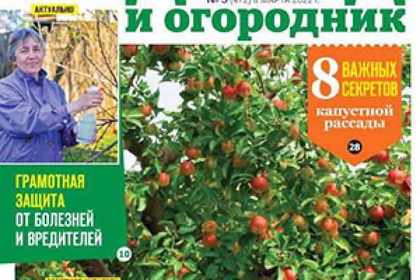Кракен даркнет