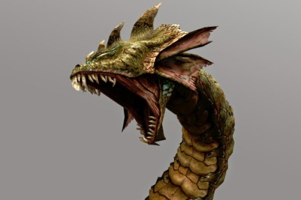 Kraken 6 at