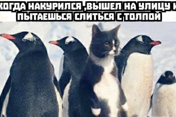 Кракен даркнет купить