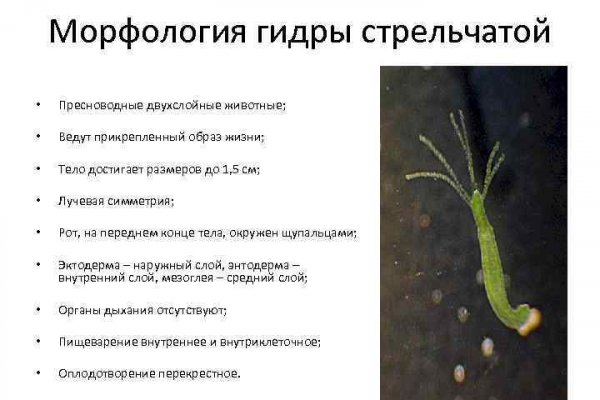 Зайти на кракен