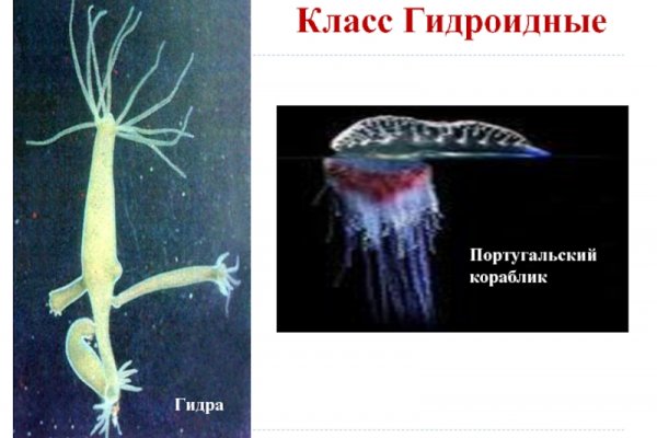 Кракен наркошоп сайт