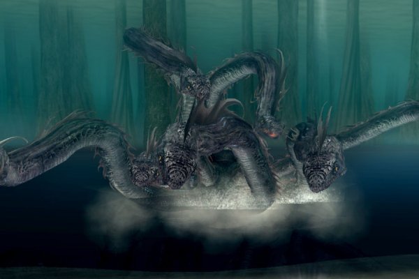 Kraken 17 at net