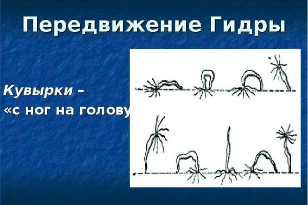 Kra49.cc Вход на сайт главная страница