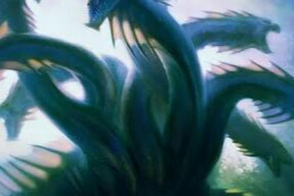 Kraken kraken dark link