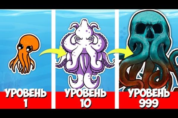 Kraken20 at