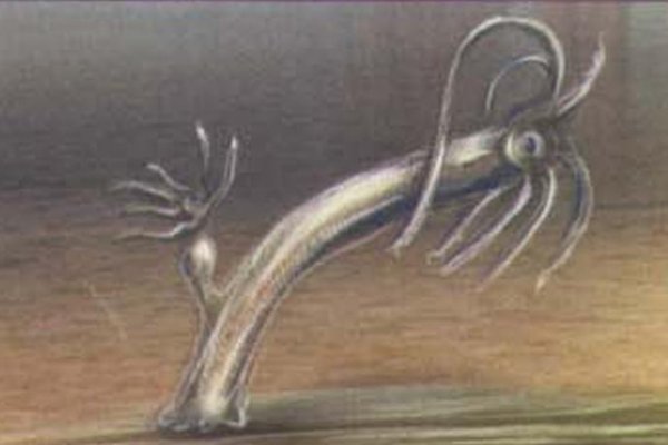 Кракен даркнет ссылка